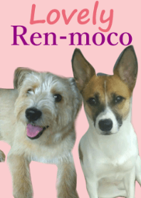 Lovely Ren-moco
