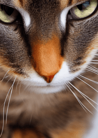 nyanko great runaway#bnhb013