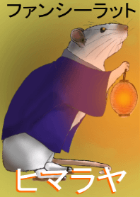 fancyratNo1