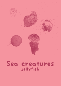 Sea crt Cue Pid Pink