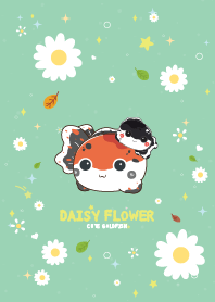 Goldfish Daisy Flower Sweet
