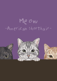 Meow -American Shorthair- ANCIENT PURPLE