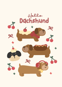Dachshund it's so cute!