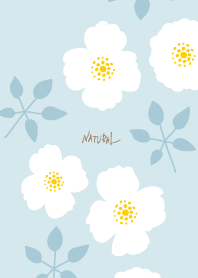 2types of white flowers leaves25 Japan