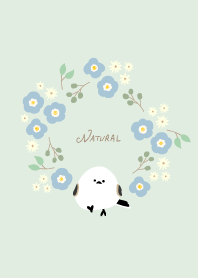 Long-tailed tit carrying flowers20 Japan