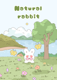 natural rabbit