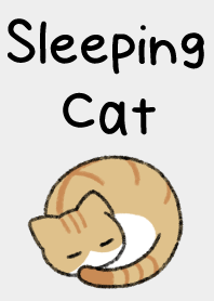 睡貓 10