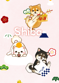 Happy new year with Shiba dogs