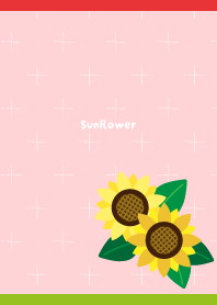 Summer sunflowers on red
