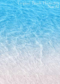 Tropical Beach Photo204 Not AI