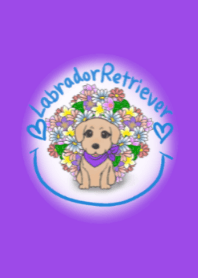 Labrador-Y and Flower Illustration Theme