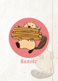 Cute animals Beaver