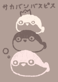 potteri sacabambaspis chocolate