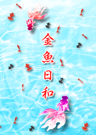 金魚日和♪