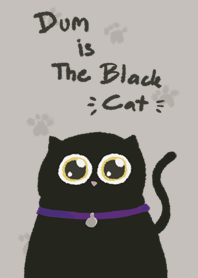 DUM The Black Cat.