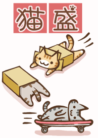 大量的貓 6