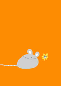 happy white mouse