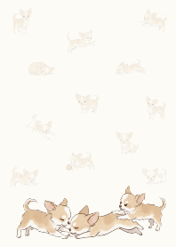 可愛快樂吉娃娃