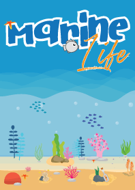 Marine Life!