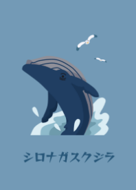 シロナガスクジラ・くすみカラー