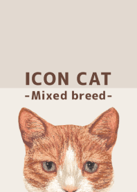 ICON CAT - Mixed breed cat - BROWN/01