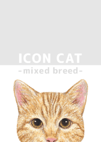 ICON CAT - Mixed breed cat - GRAY/13