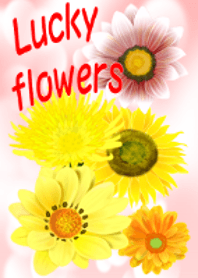 Lucky flowers