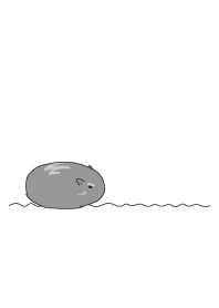 mouse staring - 1
