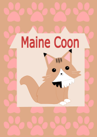 Maine Cat!