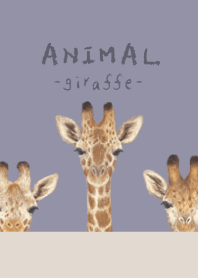 ANIMAL - Giraffe - DUSTY PURPLE