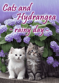 猫たちの雨宿り☂紫陽花♡浄化&運気UP☆紫