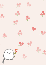 Small birds and nuts