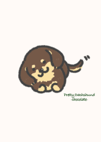 Pretty Dachshund-chocolate-