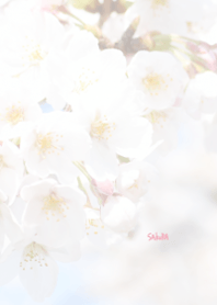 Japanese SAKURA Theme ver.Japan 29