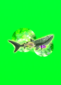 Aquarium fish green