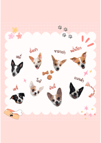 Family Dog