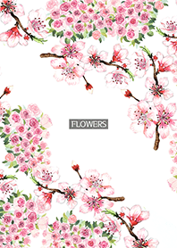 water color flowers_663