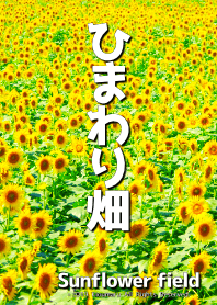 ひまわり畑 - Sunflower field- #1B