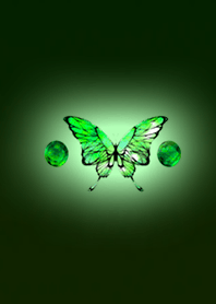 Green butterfly dark
