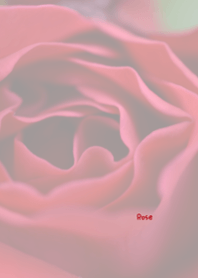 Rose Theme ver.Japan 44