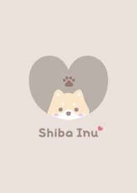 柴犬2 墊 [淺褐色的]