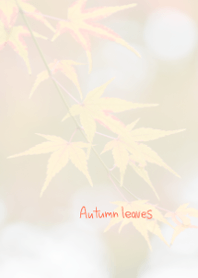 Autumn leaves Theme 4
