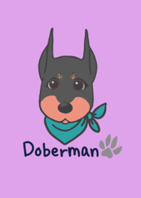 Doberman Illustration Theme