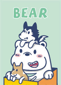 Bear TANG