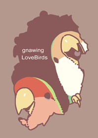 gnawing LoveBirds