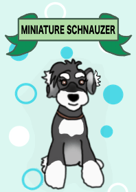 ROCK the Schnauzer