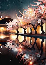 Beautiful night cherry blossoms#339