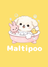 柔軟馬爾泰迪主題3 Yellow 01