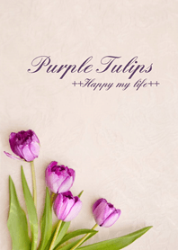 Noble Purple Tulips