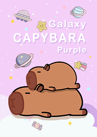 水豚/浩瀚星空/紫色